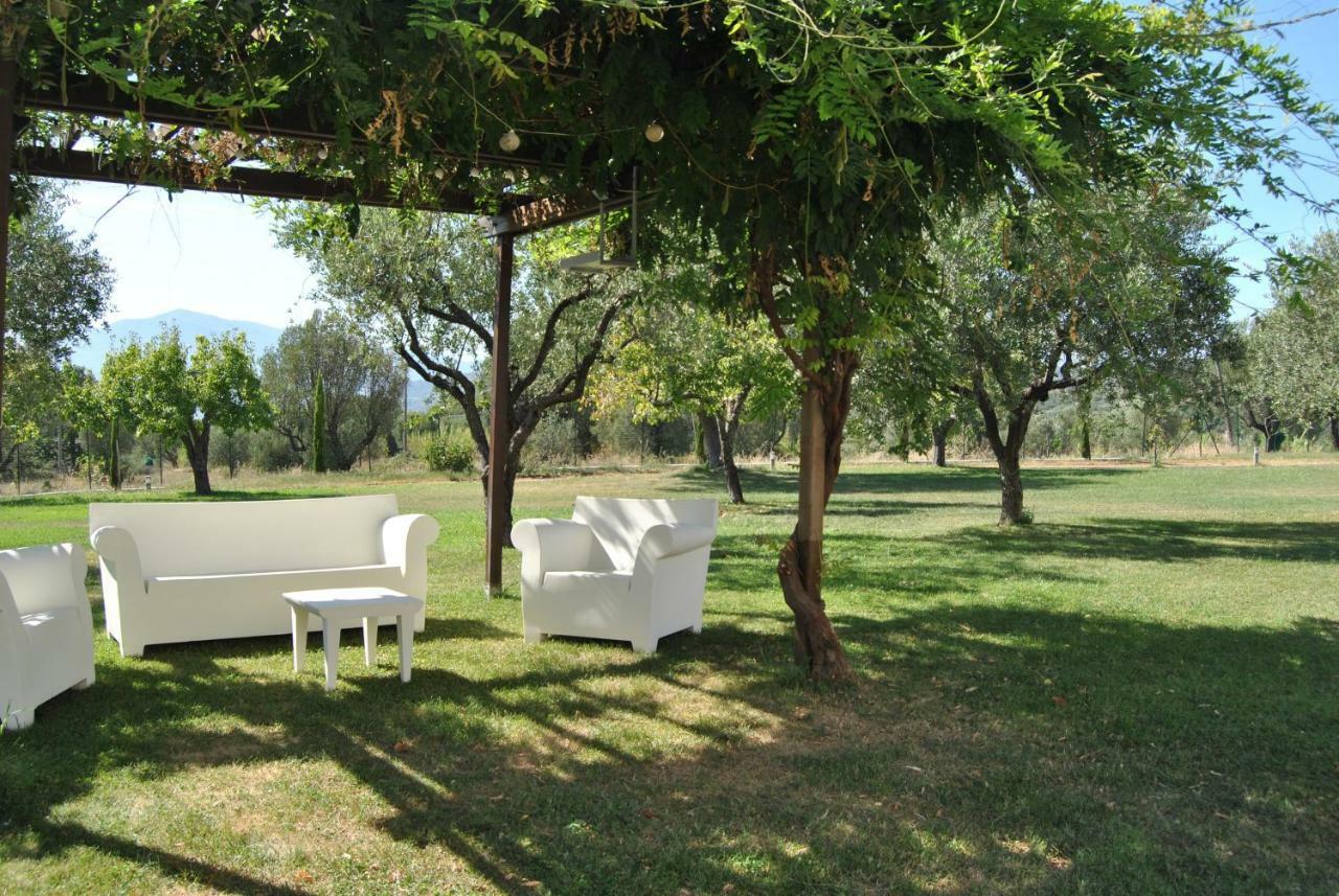 Corbezzolo Bed and Breakfast Vallo della Lucania Exteriör bild