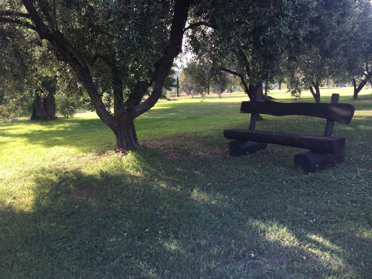 Corbezzolo Bed and Breakfast Vallo della Lucania Exteriör bild
