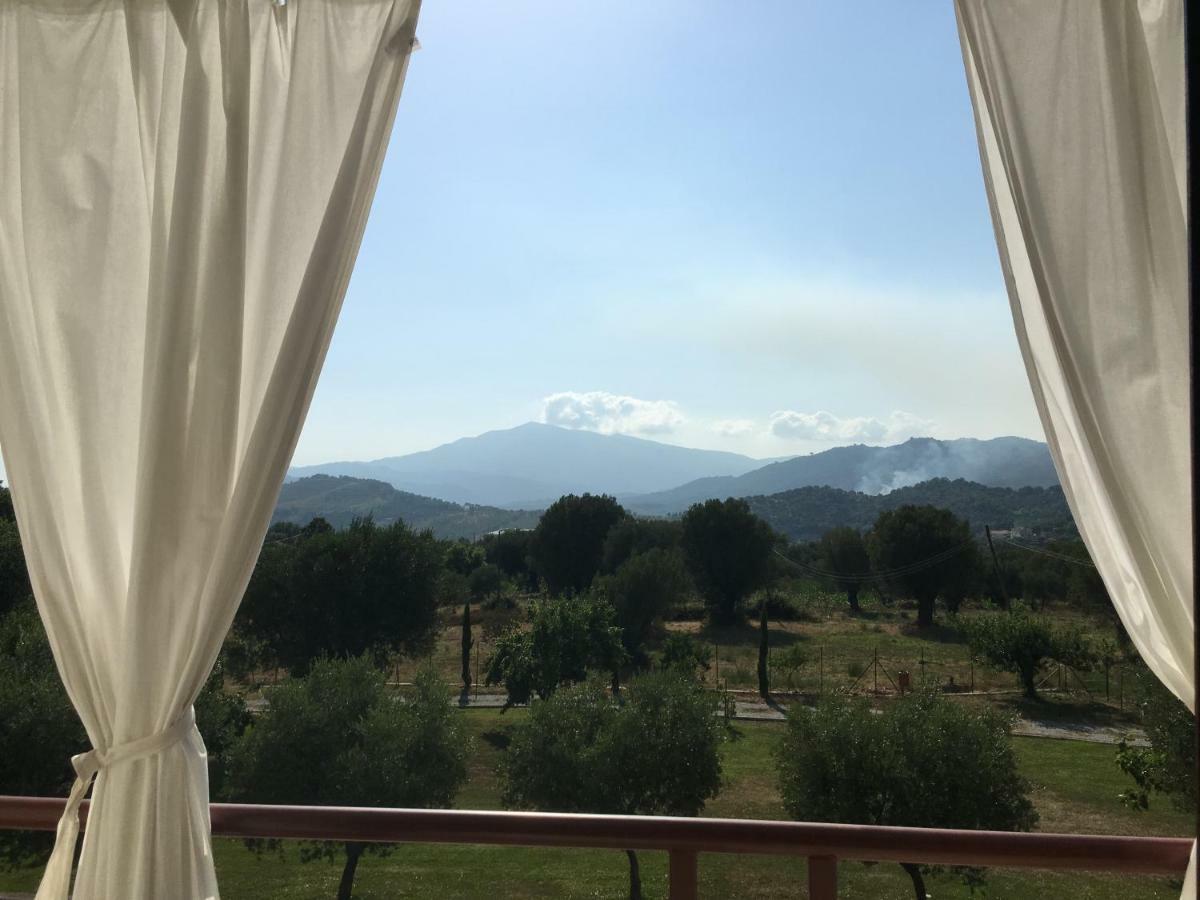 Corbezzolo Bed and Breakfast Vallo della Lucania Exteriör bild